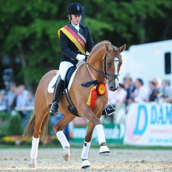FS Daddy Cool - Tysk Sportspony hingst -  Rød - 147 cm - *2006